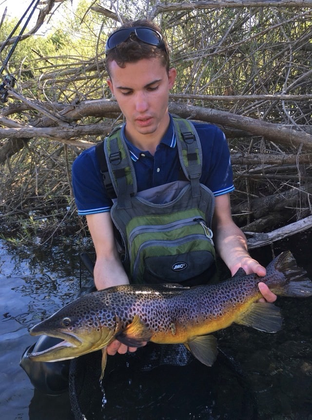 Les meilleurs mois pour pêcher la truite